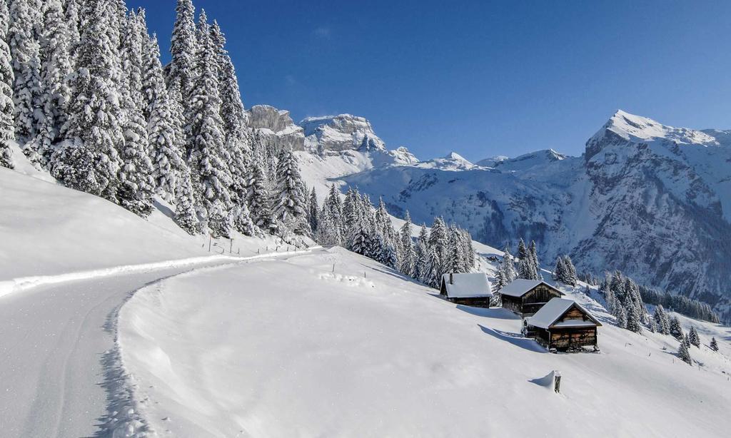 Alpenclub Hotel Engelberg
